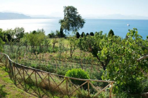 La Conca Dorata, Solarino